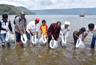  32.000 Benih Ikan Ditebar di Danau Toba